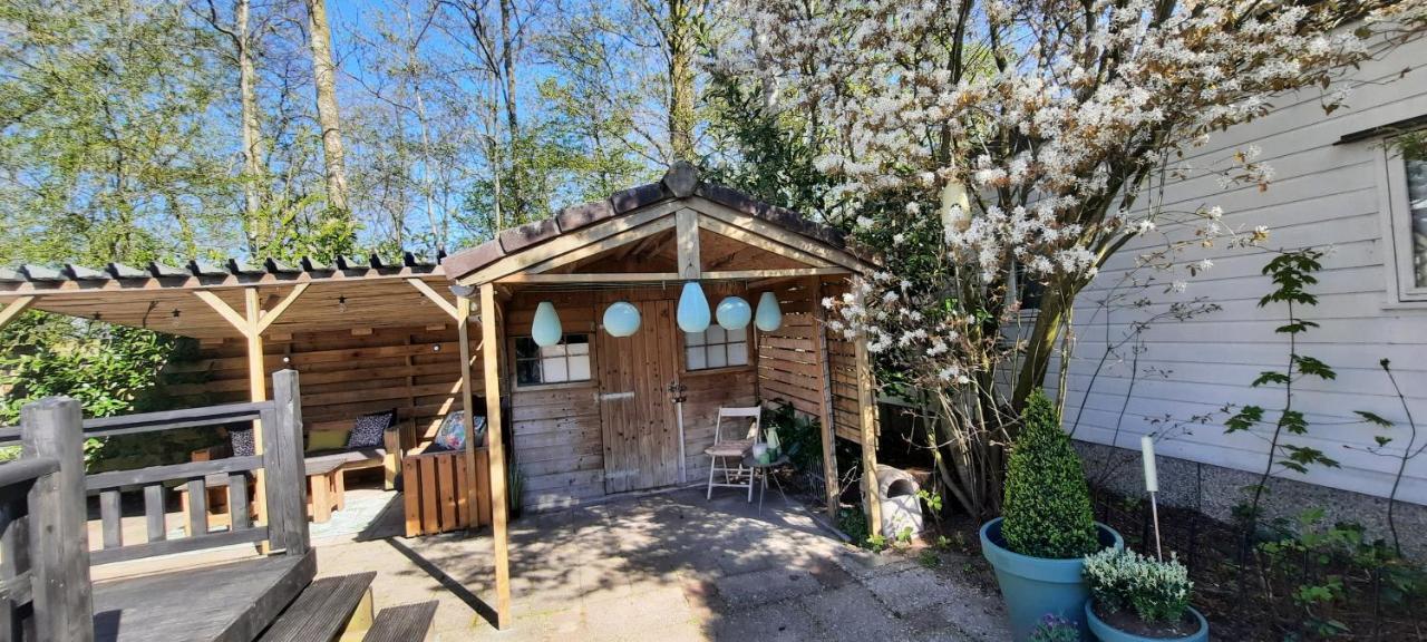 Kajuit423 6Pers 5Sterren Vakantiepark Bergumermeer Aan Het Water In Friesland Met Zwembad Βίλα Suameer Εξωτερικό φωτογραφία